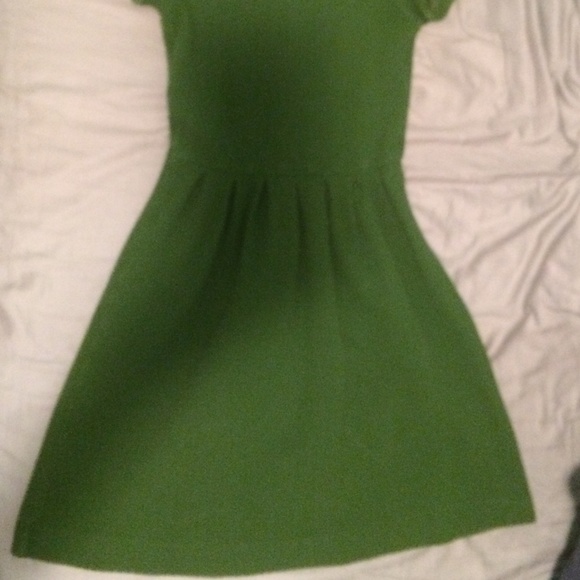 Green Fit and Flare Dress - Picture 3 of 3